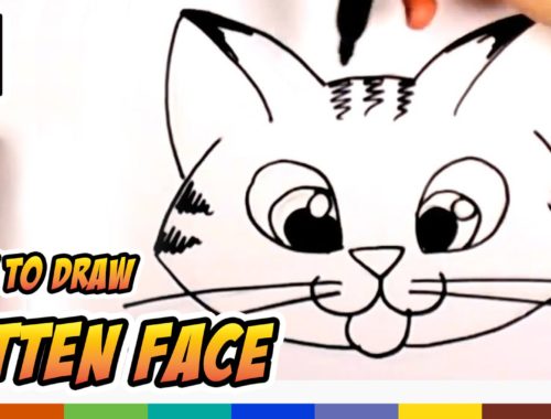500x380 How To Draw A Cute Kitten Face Archives