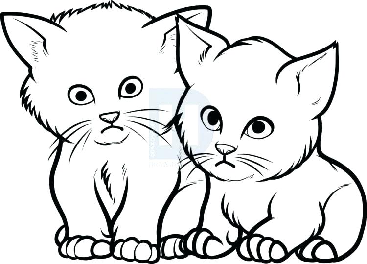 750x539 Cute Kittens Drawings Running