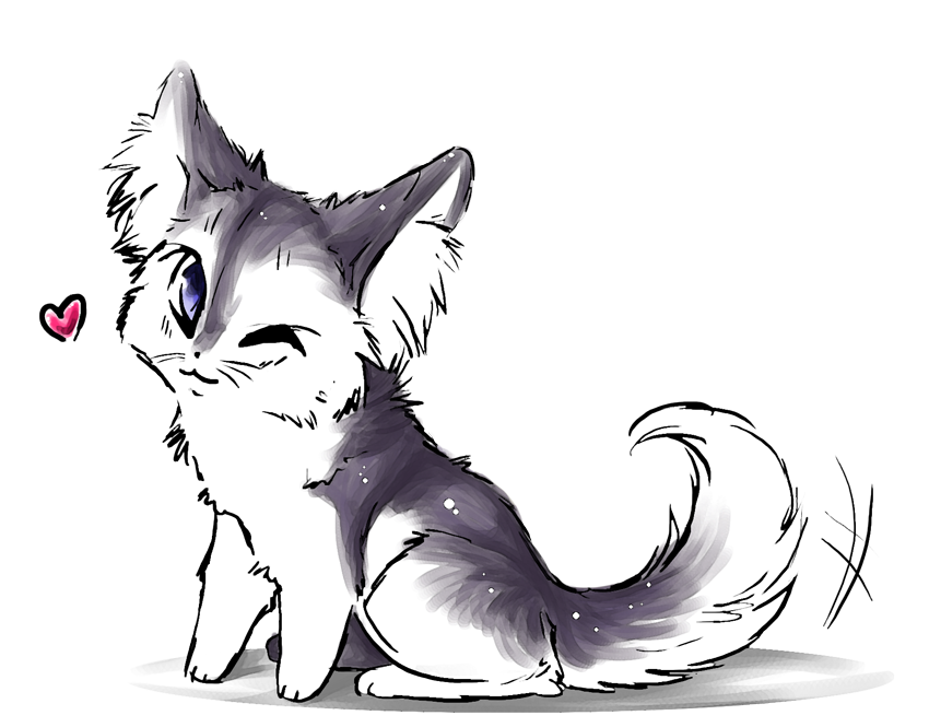 850x665 Portfolio Drawing Kitten Transparent Png Clipart Free Download
