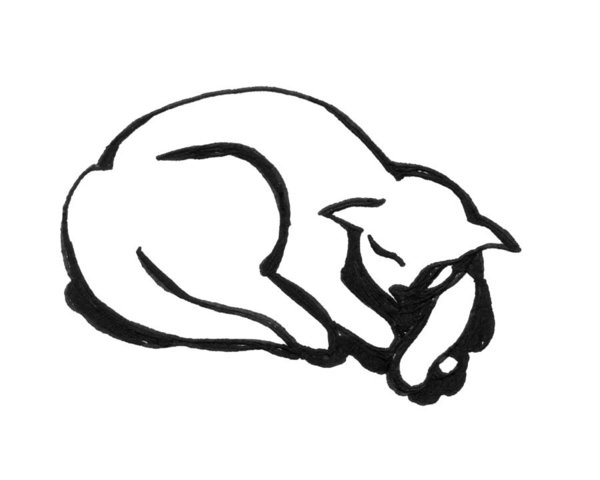 600x480 Kitty Cat Drawings