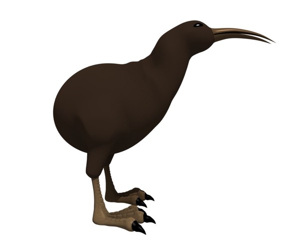 600x480 Kiwi Bird Clipart