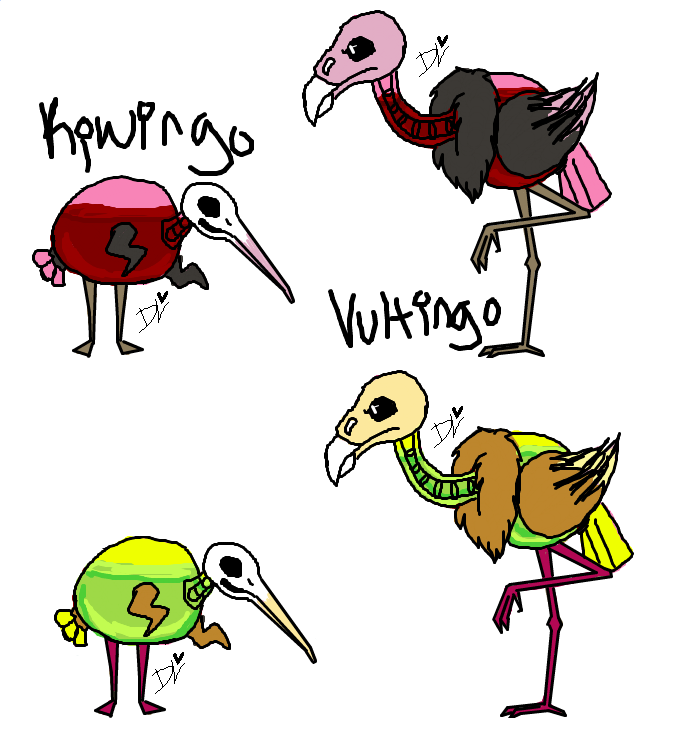 700x732 Kiwi Bird Drawing