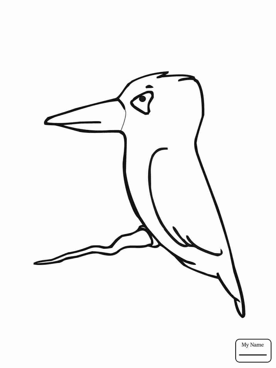 967x1289 Kiwi Bird Drawing Easy Gdpicture Us