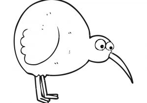 300x210 kiwi cartoon drawing kiwi bird cartoon stock photos, images