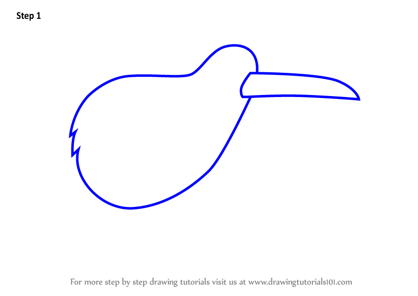 844x598 Learn How To Draw A Kiwi Bird For Kids