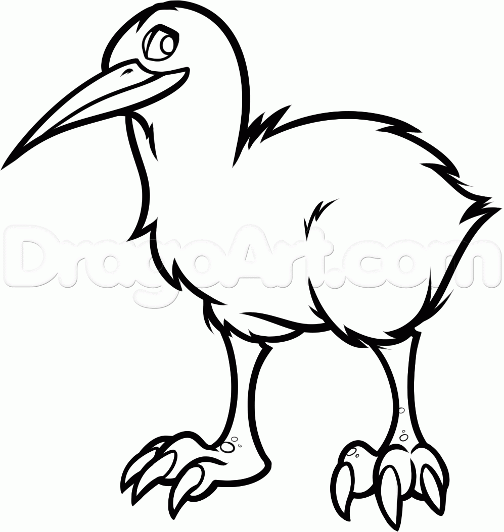 Kiwi Bird Drawing | Free download on ClipArtMag