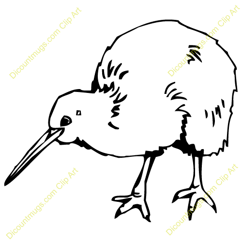 500x500 line drawings of kiwi similar galleries kiwi bird drawing