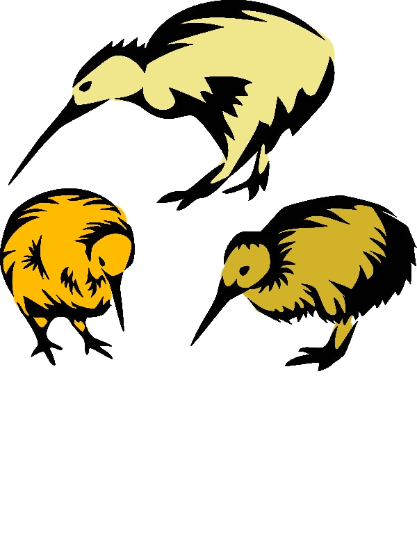 600x800 Drawing Kiwi Bird Coloring Pages