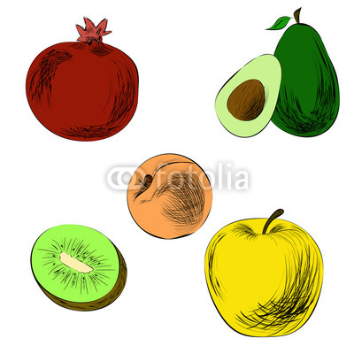 400x400 Hand Drawn Fruits In Color Pencil Drawing Pomegranate, Apple