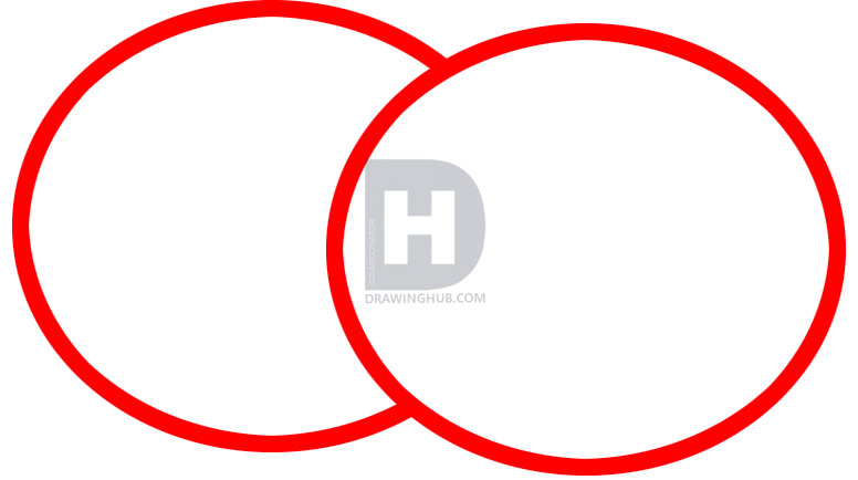 776x434 how to draw kiwi, kiwi fruit, step