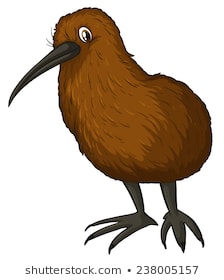224x280 Huge Collection Of 'kiwi Bird Drawing' Download More Than