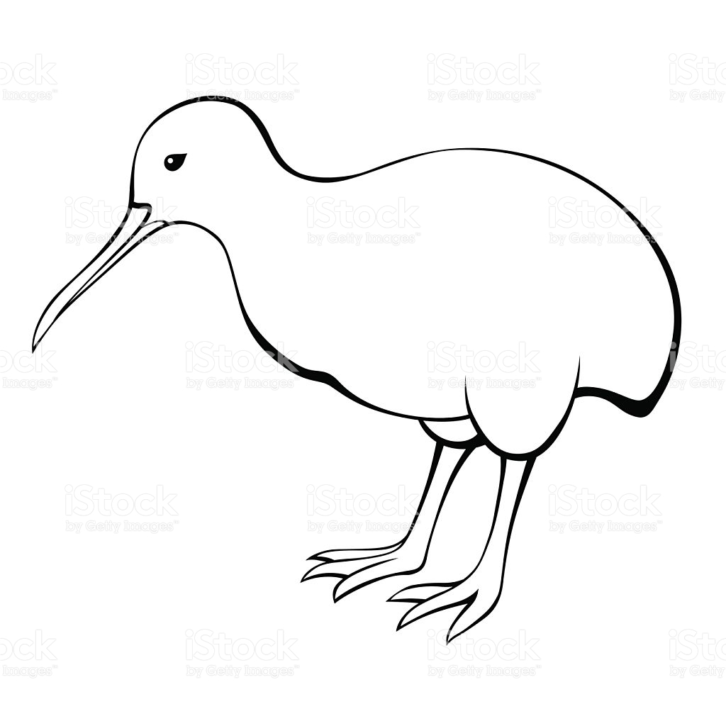1024x1024 Kiwi Bird Clipart Black And White