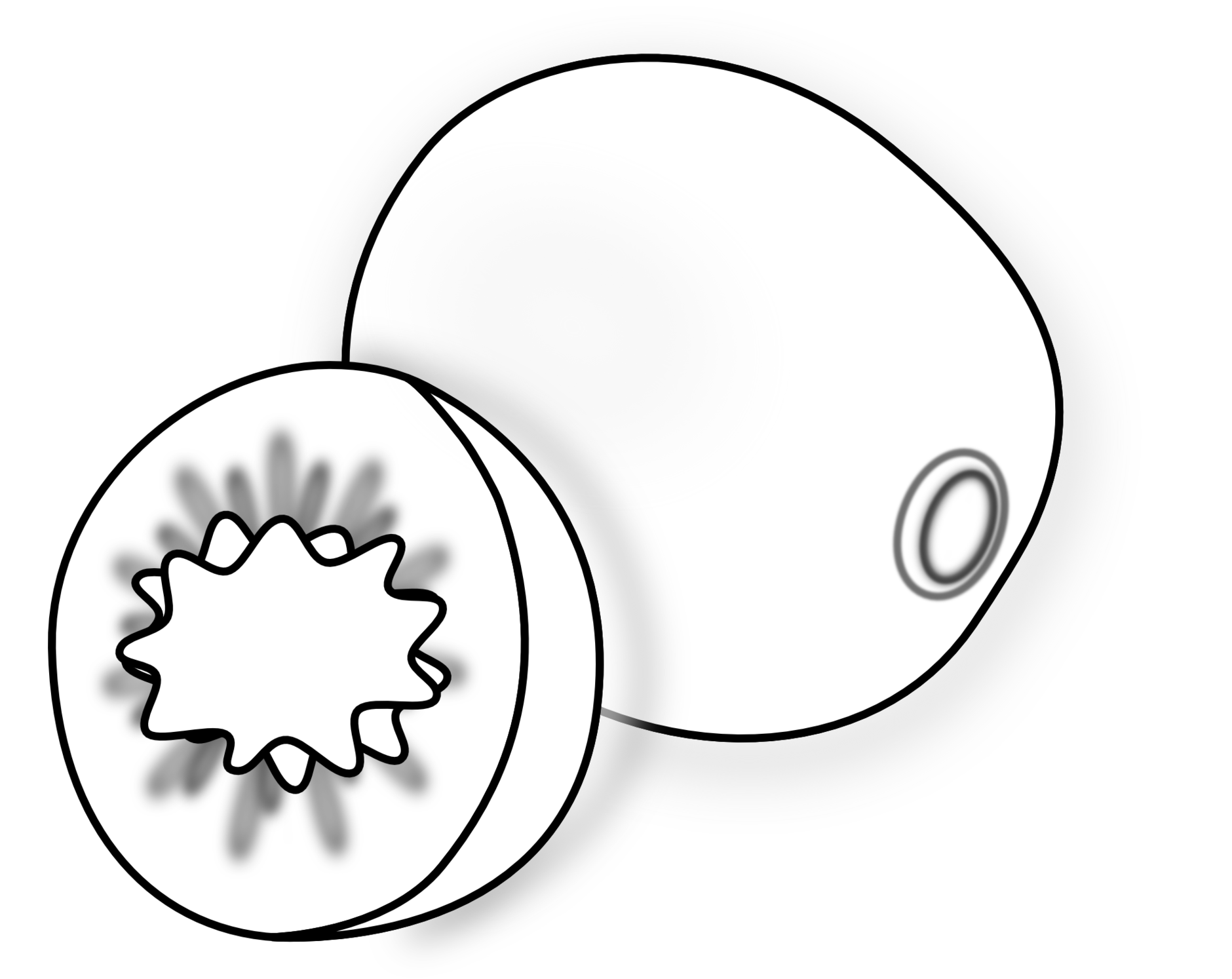 1880x1494 Kiwi Drawn Transparent Png Clipart Free Download