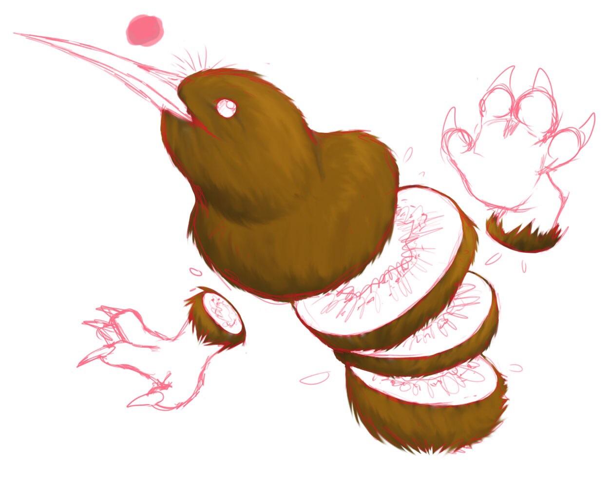 1250x1000 progress on the kiwi kiwi from a while back! drawing