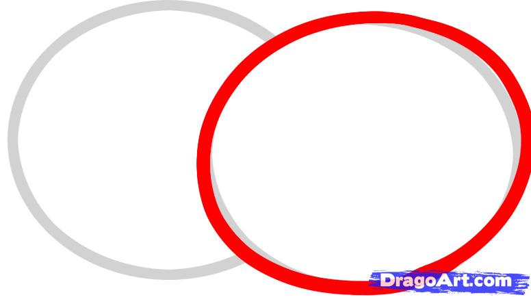 776x434 draw kiwi, kiwi fruit, step