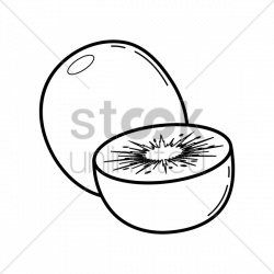 250x250 Elegant Drawing Fruit, Picture