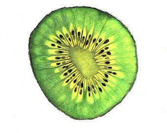 340x270 Fruit Drawing Etsy