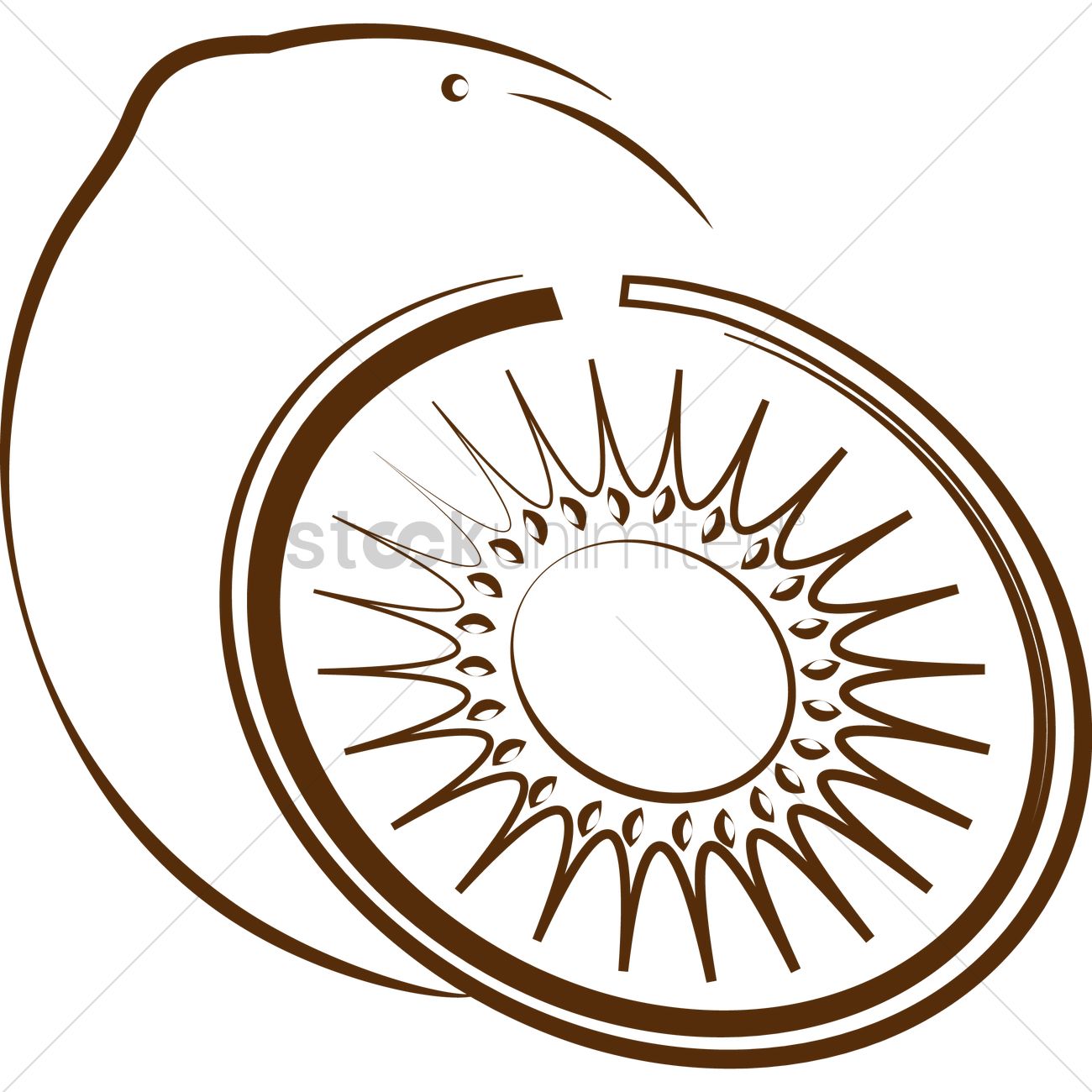 1300x1300 Kiwi Fruit Vector Image