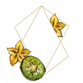 275x275 Fruit Drawing Kiwi Photos And Images Crystalgraphics