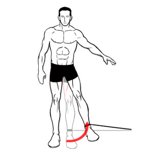 300x300 Knee Hip Pt Helper