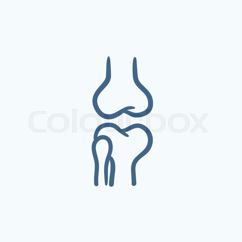 800x800 Knee Joint Vector Sketch Icon Isolated Stock Vector Colourbox