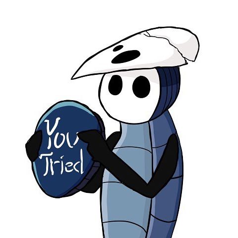 480x480 Quirrel You Tried Hollow Knight Know Your Meme
