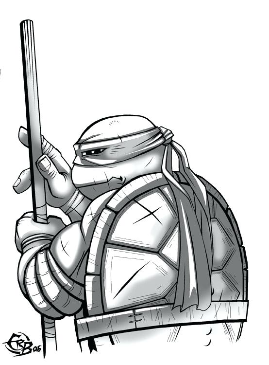 554x750 Drawings Of Turtles Sea Turtles Drawings Draw Shapes Turtle Python