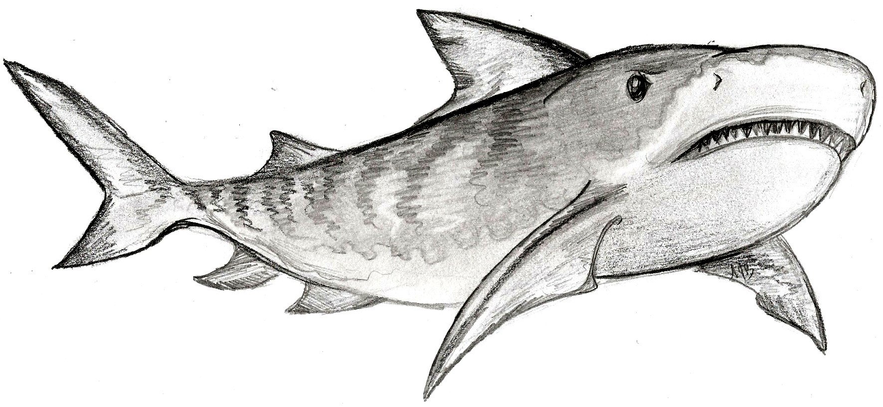 1771x818 Science, Art And Creative Writing For Students Who Love To Draw