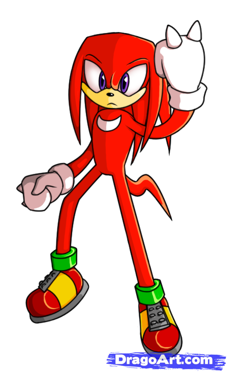 447x733 step drawing knuckles the echidna