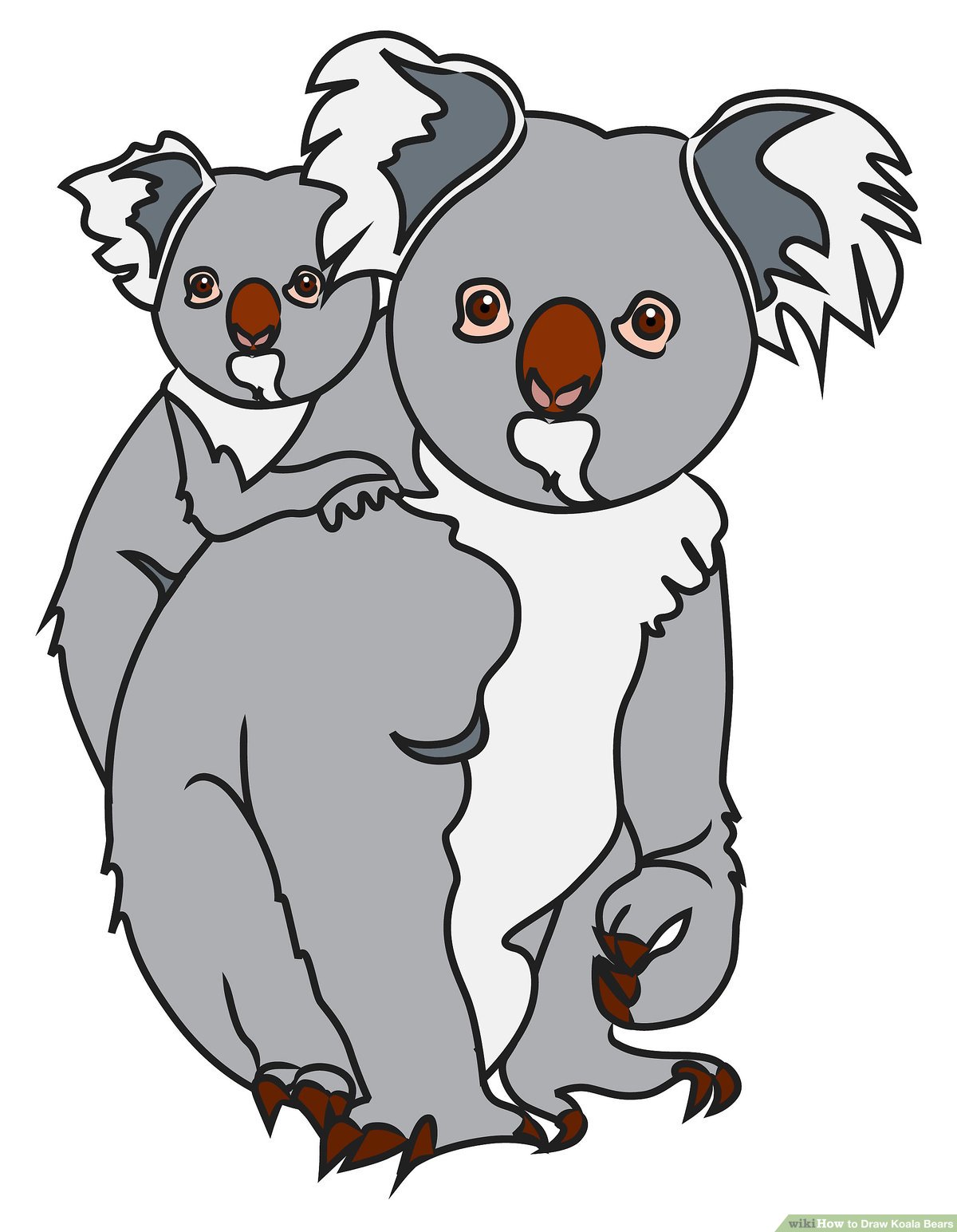 1200x1544 How To Draw Koala Bears Steps