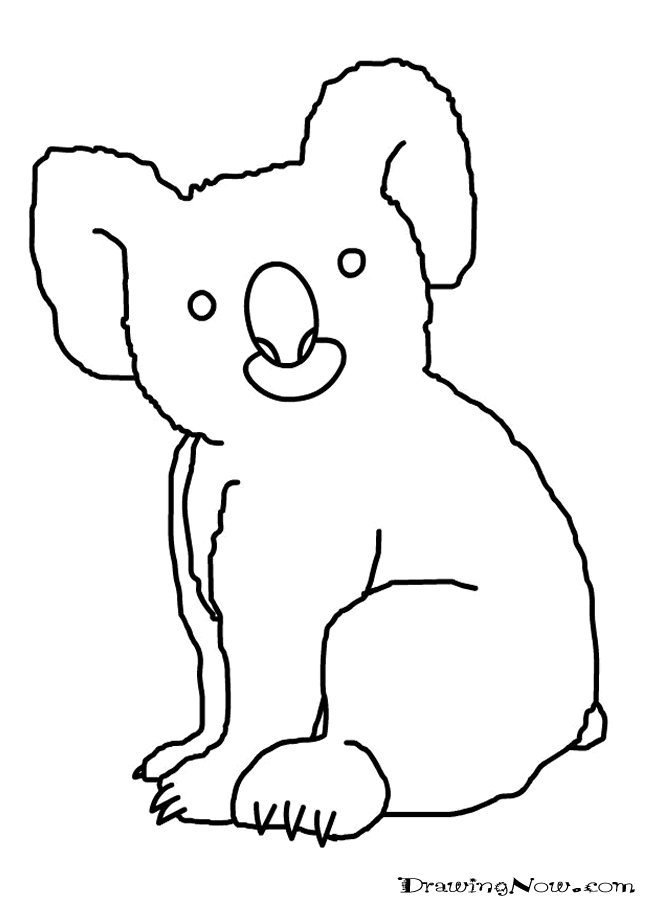 650x900 How To Draw Koala Bears Drawing Tutorials Drawing How