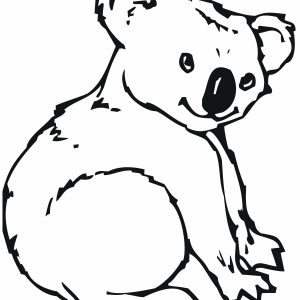 300x300 Koala Drawing Save Cute Koala Drawing At Getdrawings
