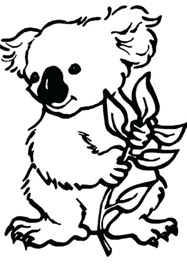600x851 Awesome Koala Bear Coloring Pages Coloring For Funny Animal