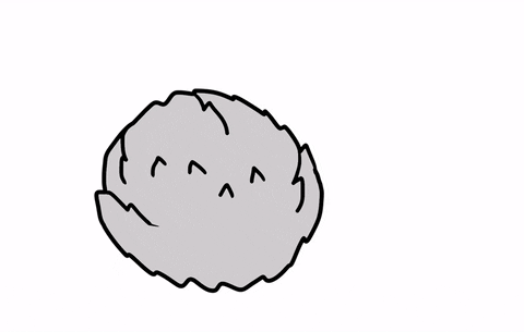 480x305 Cute Koala Gifs