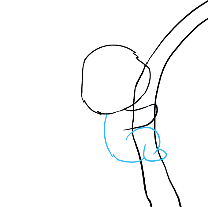 680x678 How To Draw A Koala