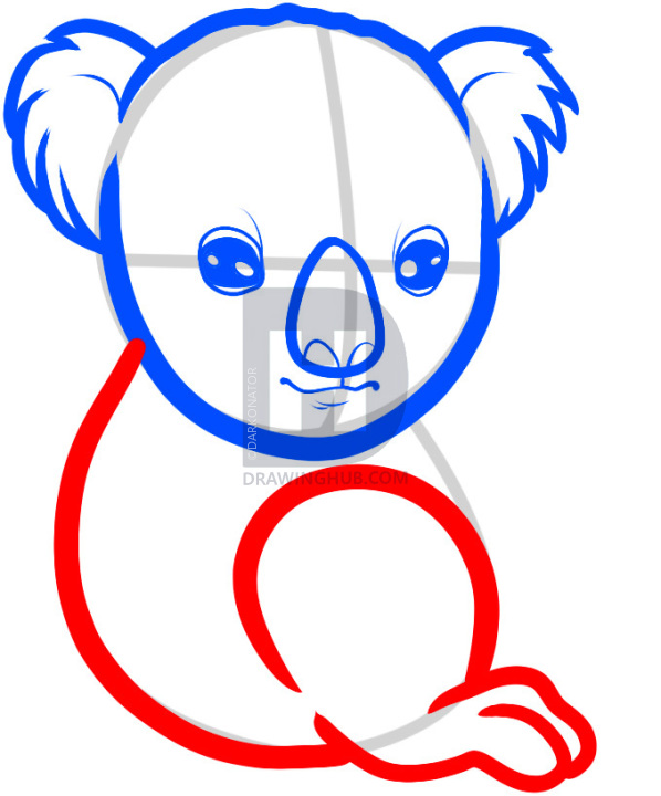 598x720 How To Draw A Baby Koala, Baby Koala, Step