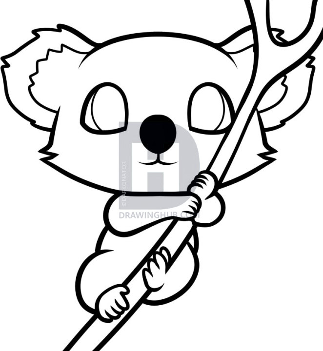 662x720 How To Draw A Koala For Kids, Step