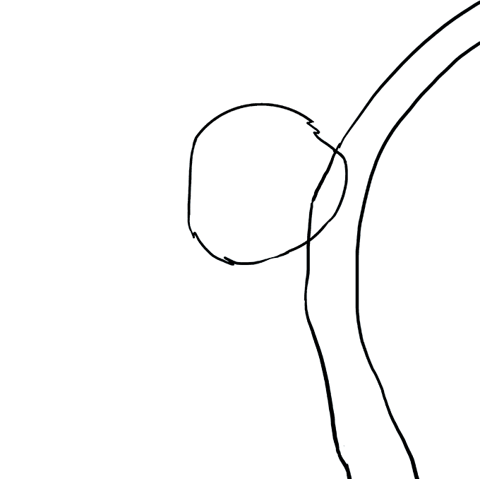 680x678 How To Draw A Koala