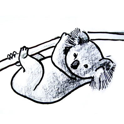 396x396 How To Draw A Koala