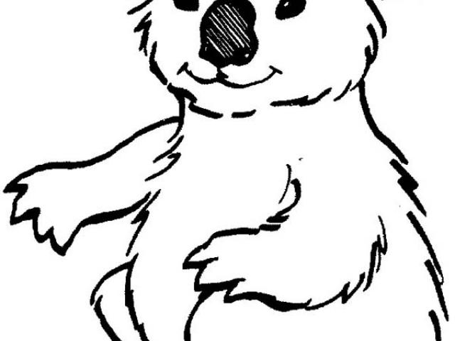 640x480 Koala Bear Clipart Tree Drawing