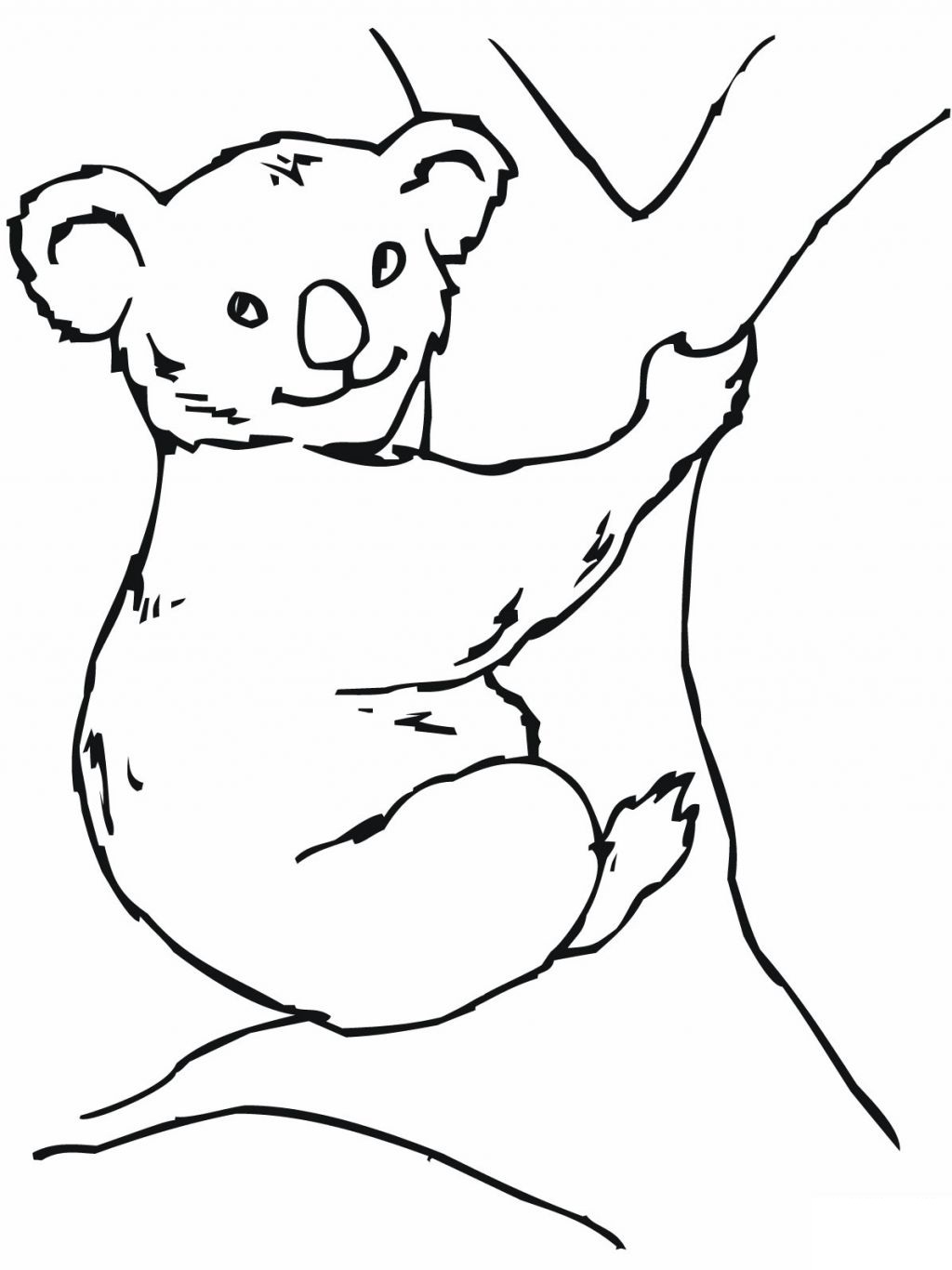 1024x1366 Koala Bear Clipart Tree Drawing