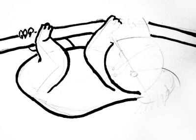 399x285 Koala Drawing