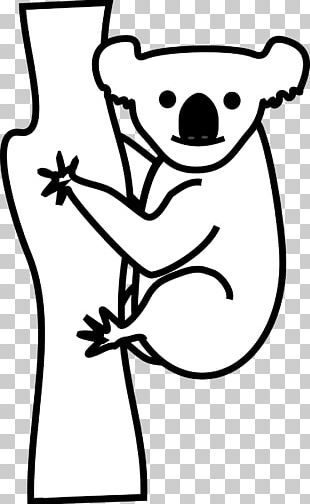 310x504 Koalaskoalas Bear Baby Koala Drawing Png, Clipart, Animals, Art