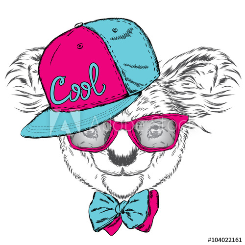 500x500 Cute Koala In A Cap And A Tie Koala Vector Greeting Card