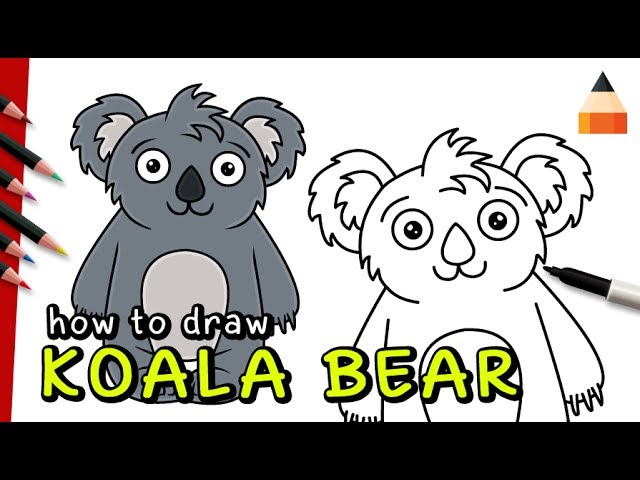 640x480 How To Draw A Koala Bear