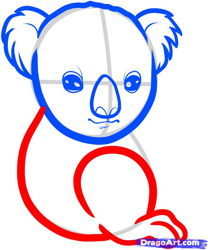 679x817 How To Draw A Baby Koala, Baby Koala, Step