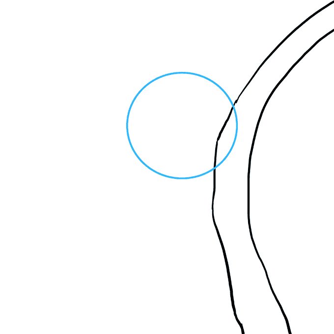 680x678 How To Draw A Koala