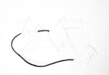 383x264 How To Draw A Koala