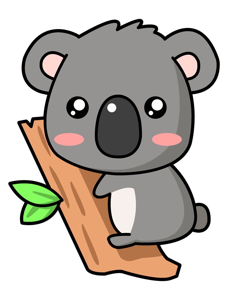 800x1067 Huge Collection Of 'koala Cartoon Drawing' Download More Than
