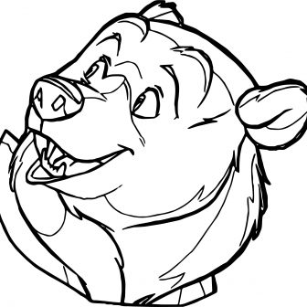 336x336 Koala Bear Face Drawing Easy Black Cartoon Iydunetwork